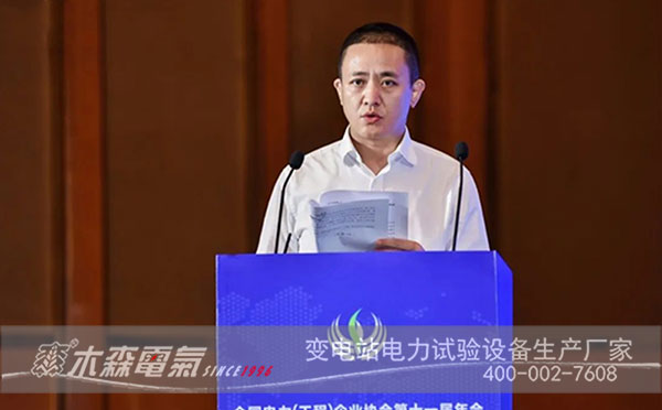全國電力(工程)企業(yè)協(xié)會發(fā)言